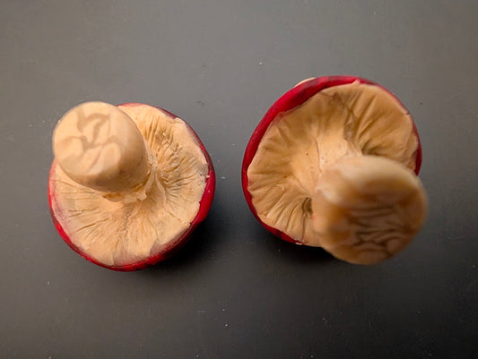 Fly Agaric